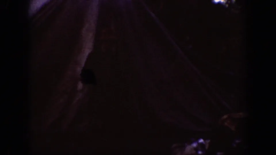 Dark 8mm frame from the Chelan campsite scene, with the tent form still visible among trees in low exposure.