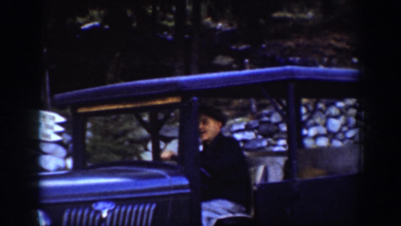 Person in dark coat and hat at the wheel of a vintage automobile with a horizontal grille; conifer trees in the background.