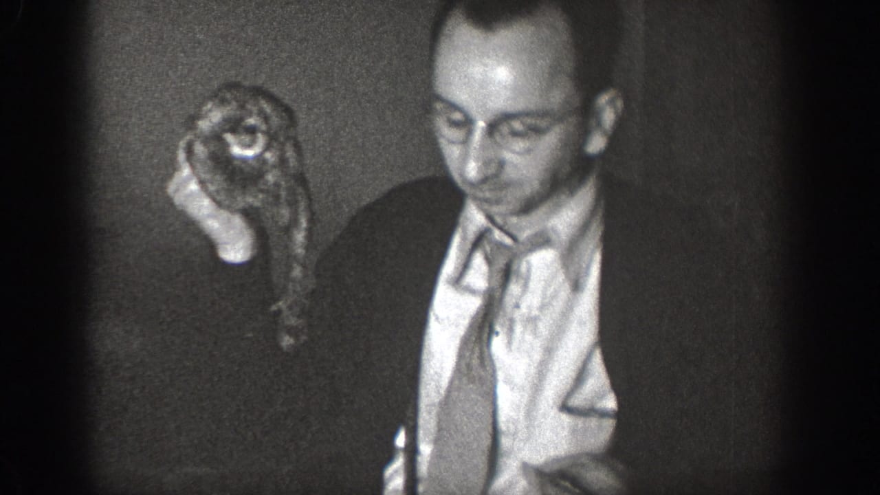 Man in suit and tie holds a small animal with large eyes up toward the camera.