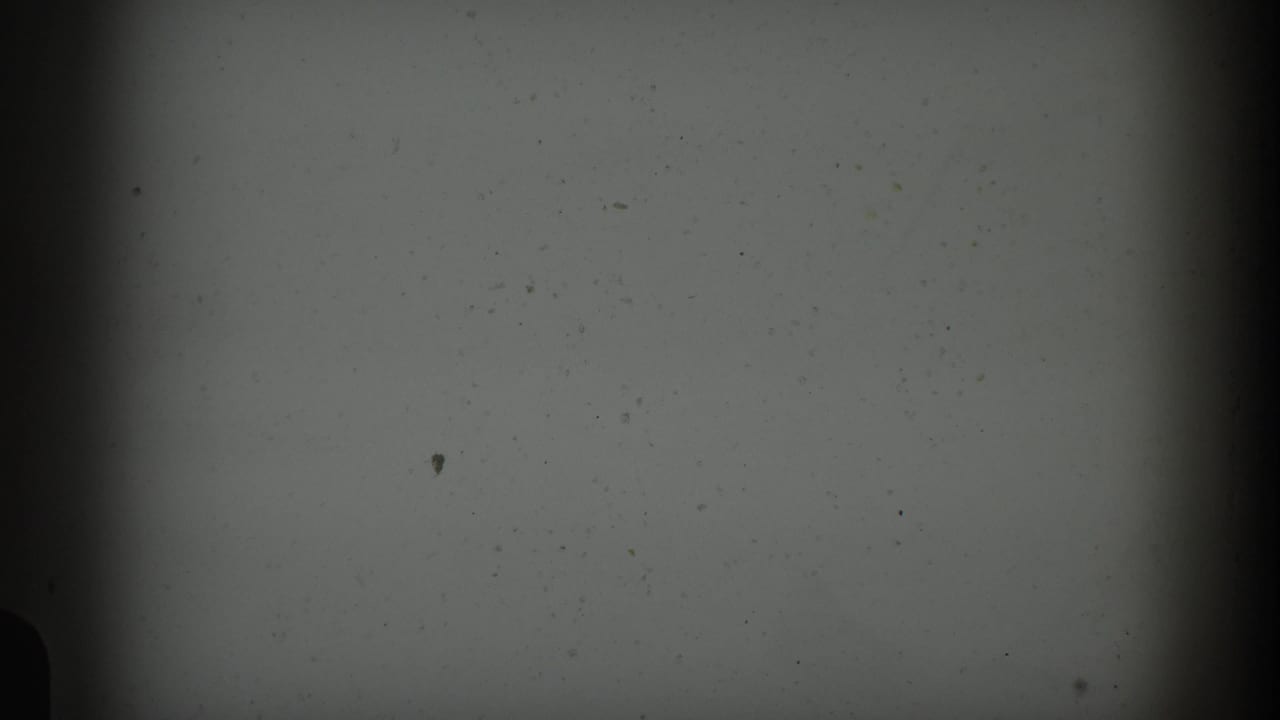 Overexposed opening frame from an 8mm home movie, likely the reel start, showing film grain and dust against a washed-out field; circa 1961.