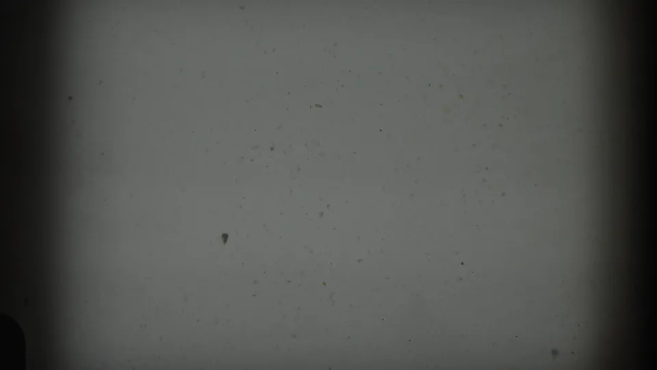 Overexposed opening frame from an 8mm home movie, likely the reel start, showing film grain and dust against a washed-out field; circa 1961.