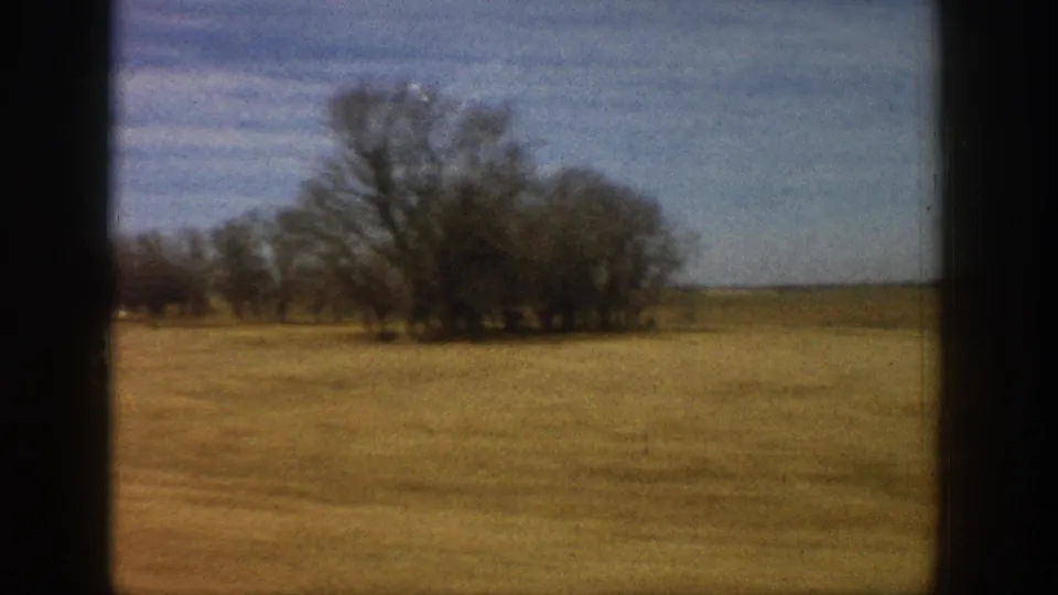1961 8mm frame: flat plains with a cluster of bare trees at mid-ground, dry brown foreground fields, and clear blue sky, framed by dark window-vignette borders.
