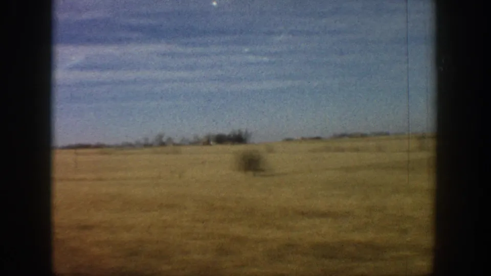 Wide open flat grassland with a lone shrub in the midground and a large open sky; 8mm road-trip footage from rural America, circa 1961.