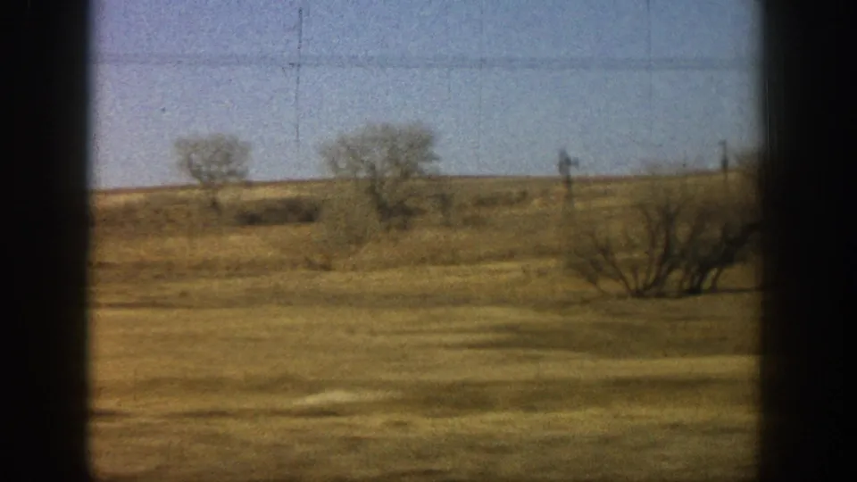Flat open grassland with bare deciduous trees, utility lines, and a pale blue winter sky; rural Colorado plains area, circa 1961.