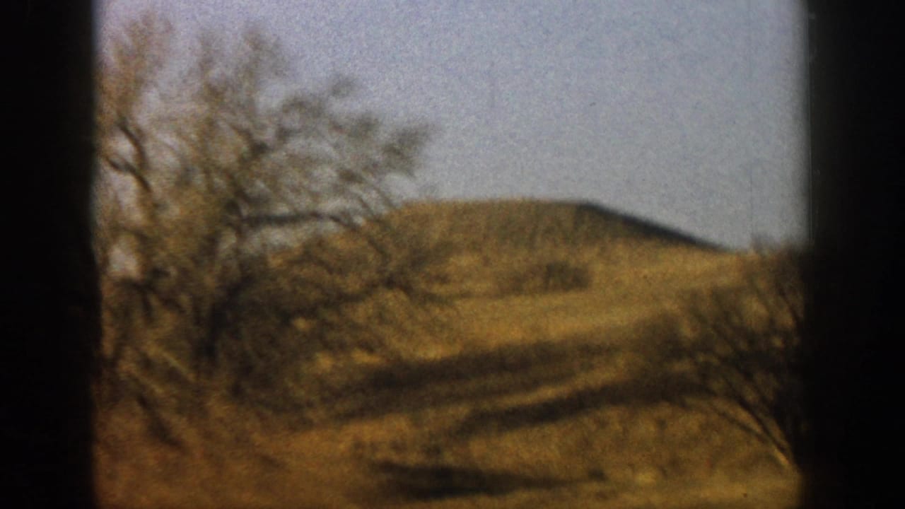 Dry golden grassland and bare leafless tree viewed through a car window on 8mm color film.