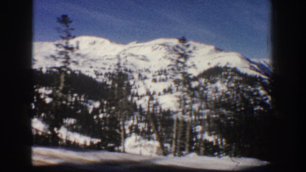 Wide winter mountain panorama with snow-covered slopes, dense evergreen trees, snowy valley foreground, and clear blue sky.
