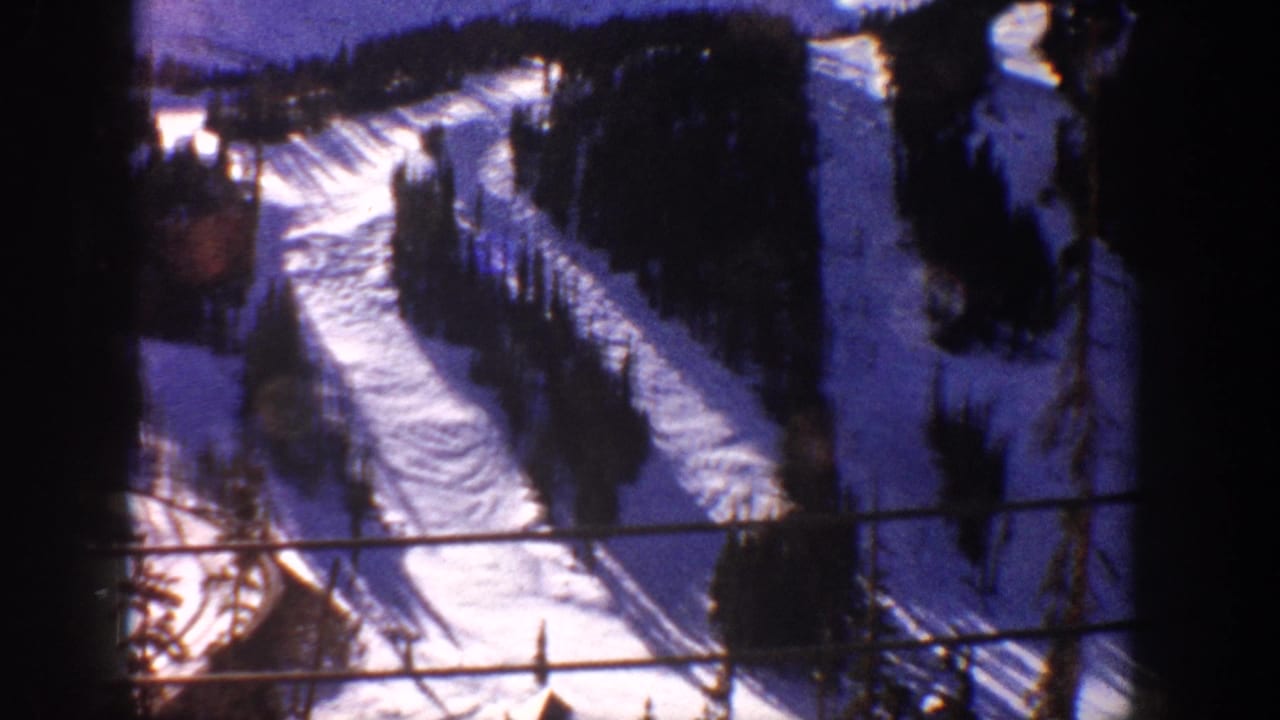 Aerial view of parallel ski runs through conifer forest, with a horizontal bar or cable crossing the upper frame and dark structural framing at the sides.