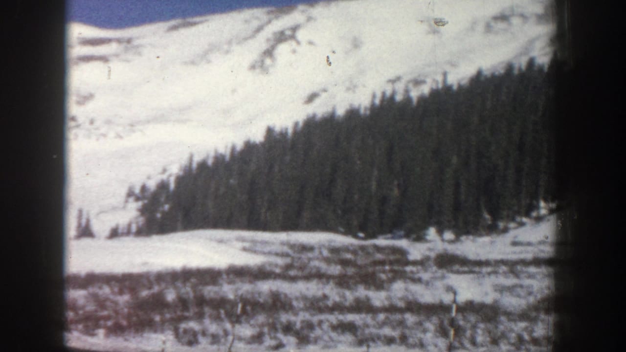 Open snow-covered slope with reddish scrub brush emerging through snow, dense pine forest at right, and a mountain summit visible at upper right; 8mm film.