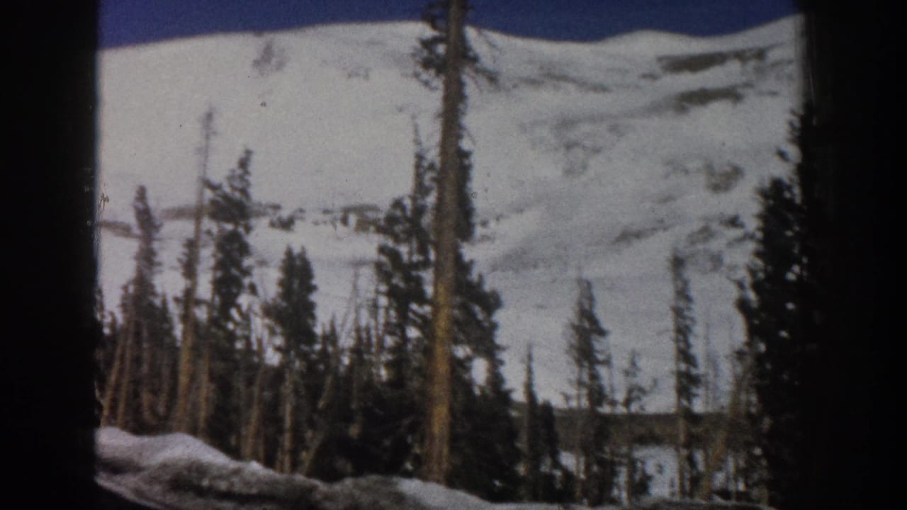 Snowy slope and tall trees framed by dark 8mm film edges.