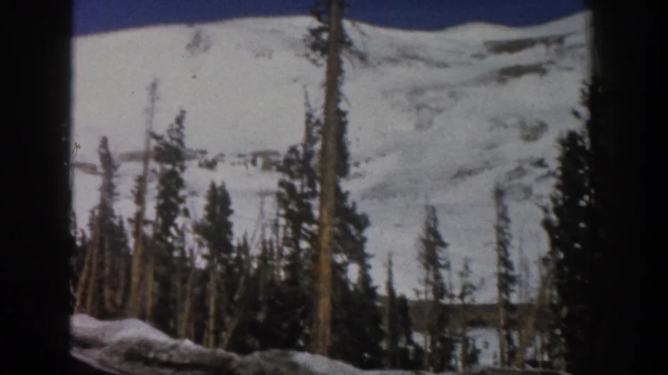 1961 Aspen, Colorado home-movie frame with snow-covered hillside, tall evergreen trees, bare trunks, and visible film gate edges.