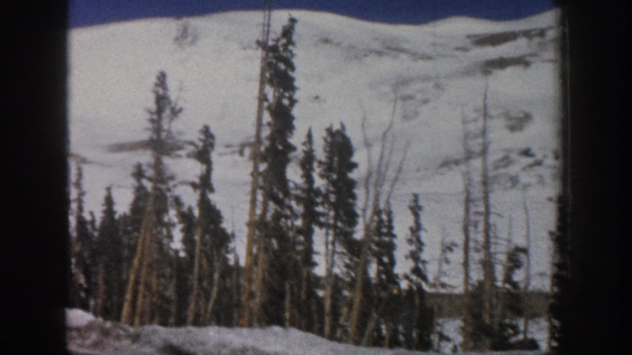 1961 Aspen-area 8mm frame showing snow-covered mountainside and dark evergreen trees from a moving road-trip viewpoint.