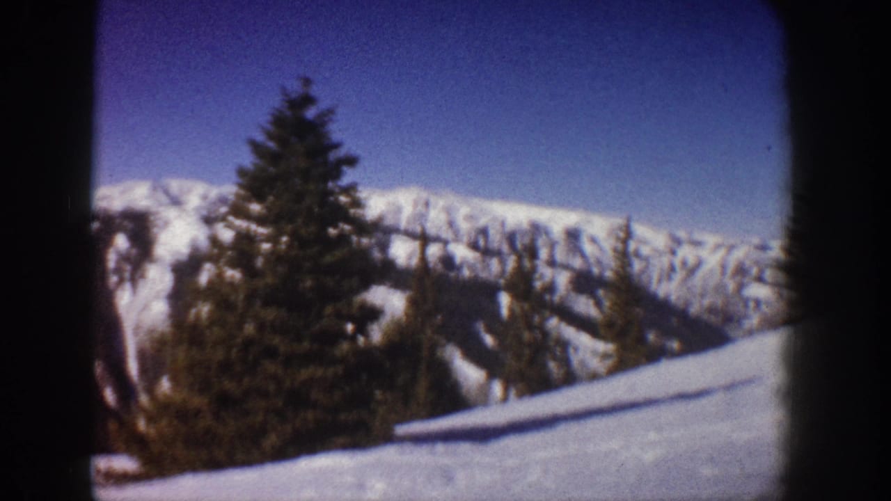 Conifer now slightly left of center as camera pans right; snow-covered ridge and blue-purple sky remain visible.