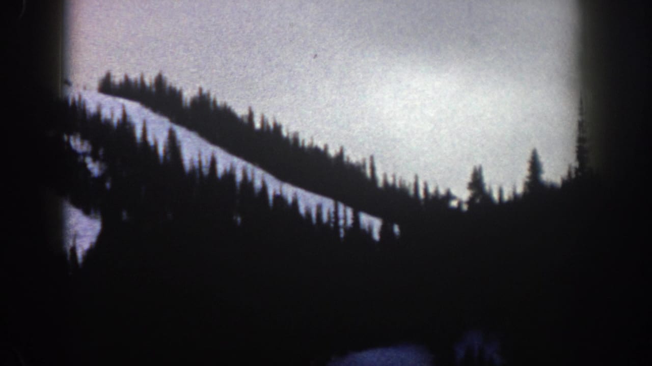 Silhouetted conifer forest on a snow slope against a bright pale sky, heavily underexposed 8mm frame.