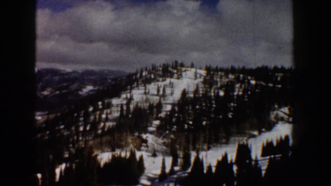 Snow-covered mountain slope with scattered evergreen trees under an overcast sky, 8mm film.