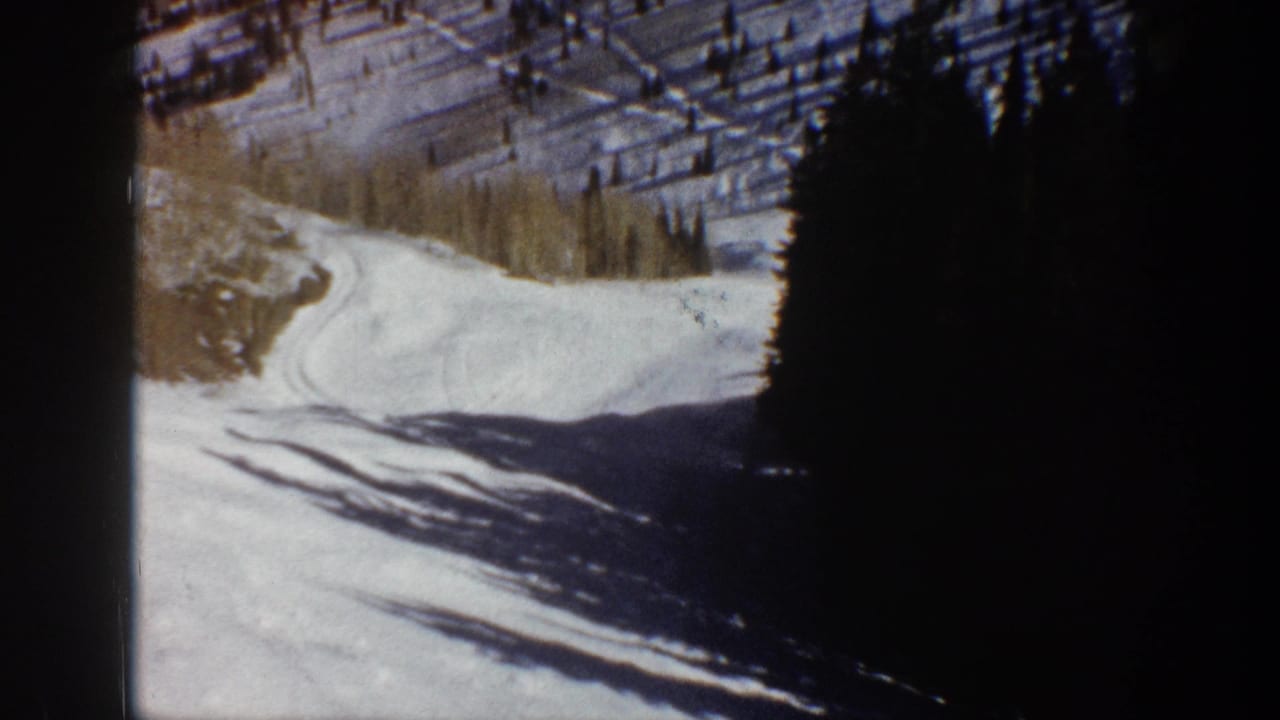 Snow-covered mountain road curving past evergreen trees and dark winter shadows.