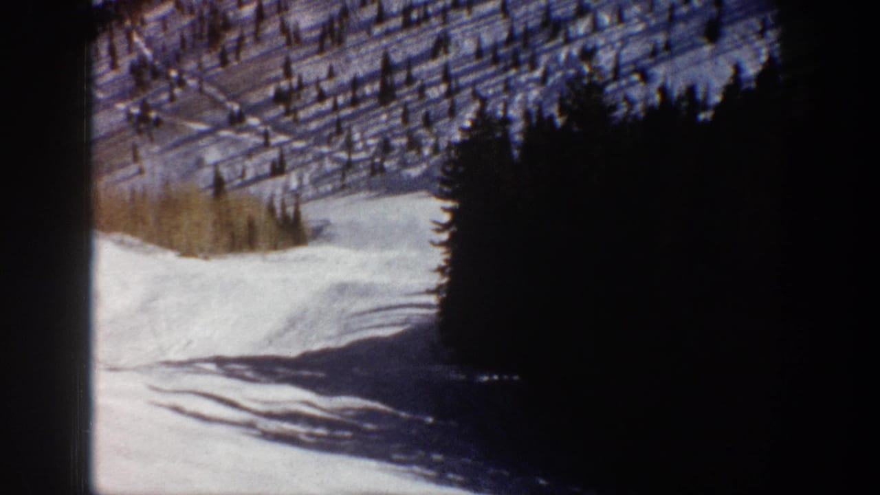 Snowy mountain slope with dark evergreen forest and film gate edges.