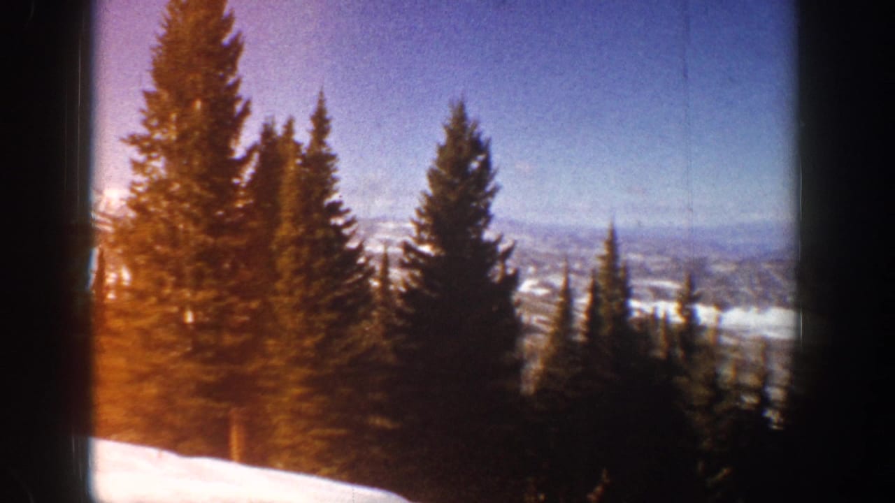 Evergreen trees and snowy hills seen through a window with warm film flare.