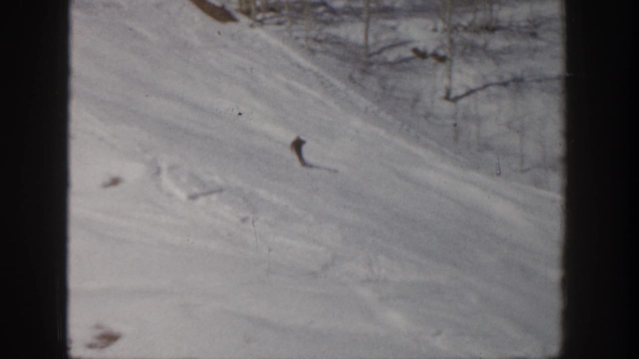 Small skier descending a snowy slope with bare trees along the upper edge.