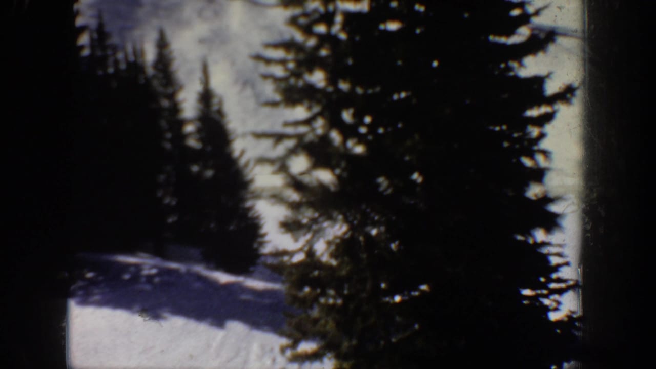Snowy mountain slope bordered by dark evergreen trees.