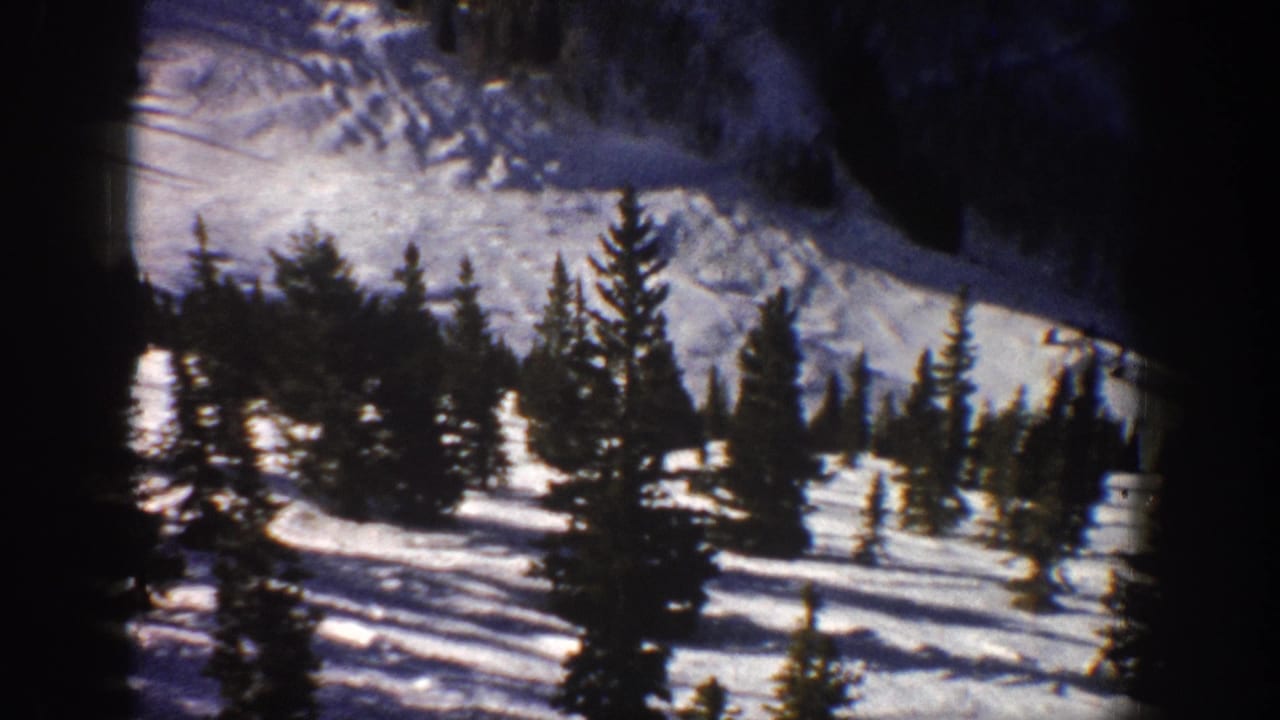 Evergreen trees scattered across a sunlit snowy mountain slope.