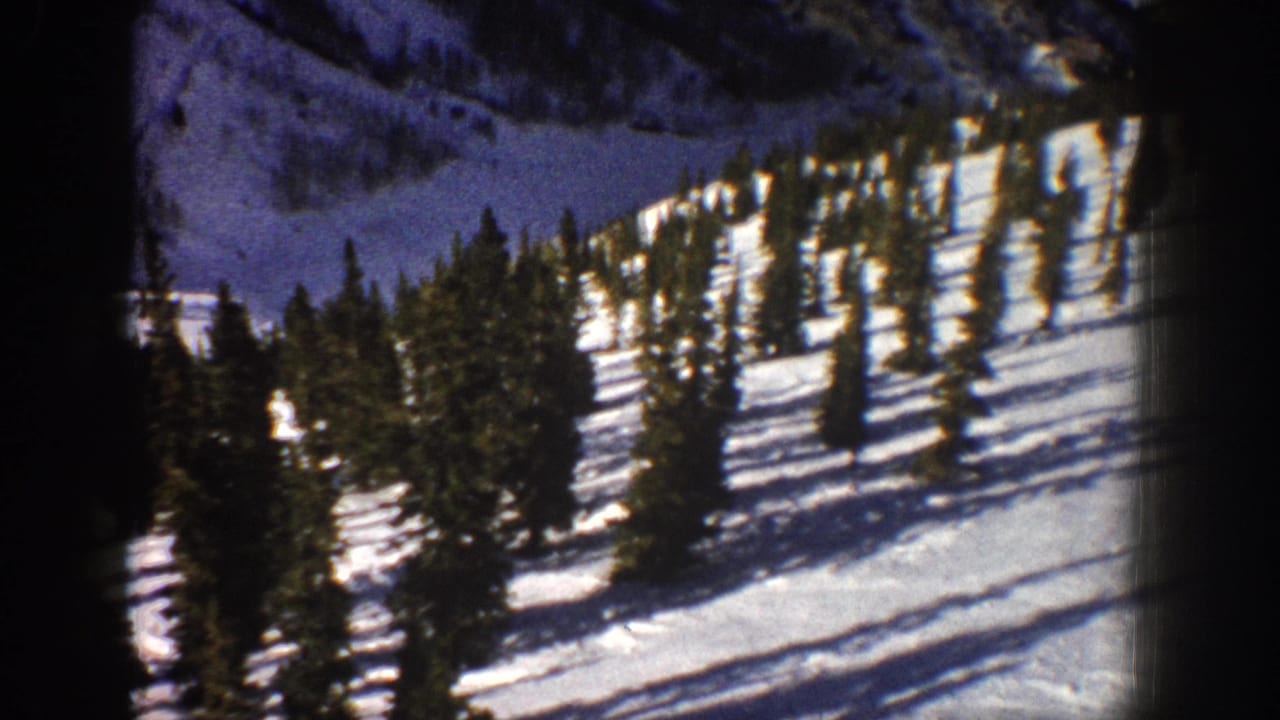 Snow-covered hillside dotted with evergreen trees.