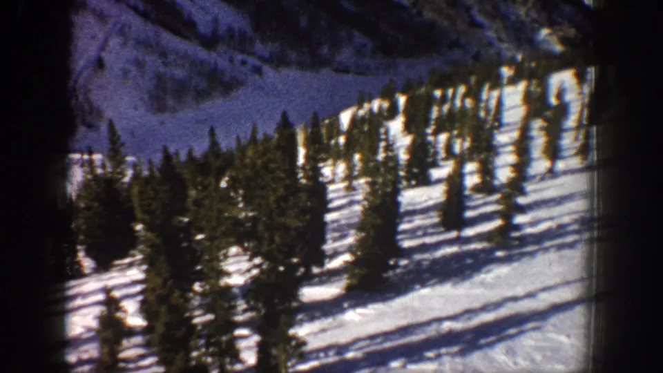 1961 Aspen-area 8mm frame with dense evergreens in the foreground and a sunlit snowy slope behind them.
