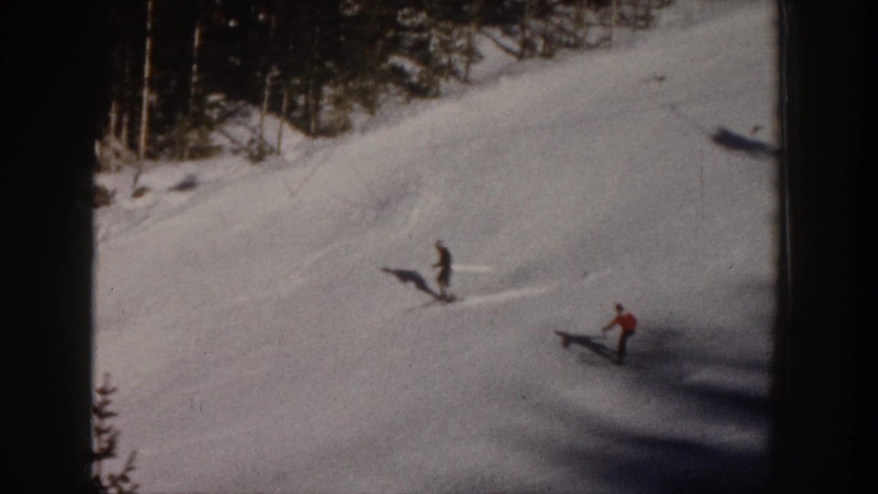 Several skiers descend a snowy slope near trees, including one in a red jacket.