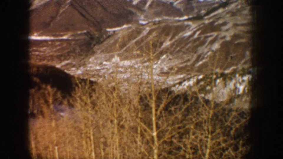1961 Aspen home-movie view of leafless trees and a patchy snow-covered hillside, with heavy grain and gate edges.
