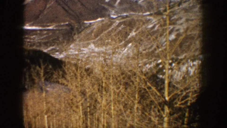 End frame from the 1961 Aspen 8mm clip, showing bare trees and a distant hillside with scattered snow.