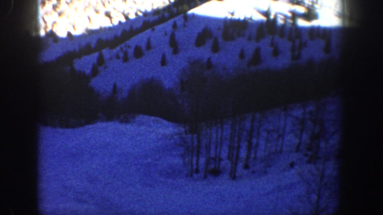 Blue-shadowed snowy hillside with trees and bright snow near the ridge.