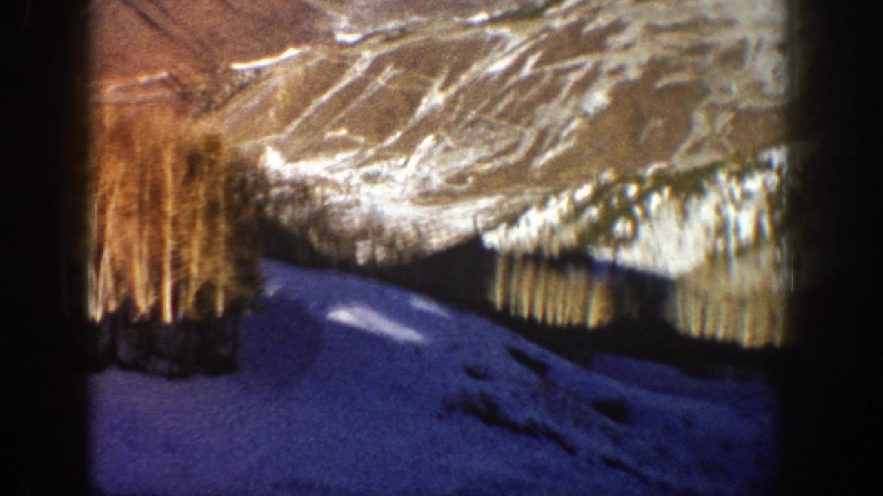 Blue snowfield below bare trees and a sunlit winter mountainside.