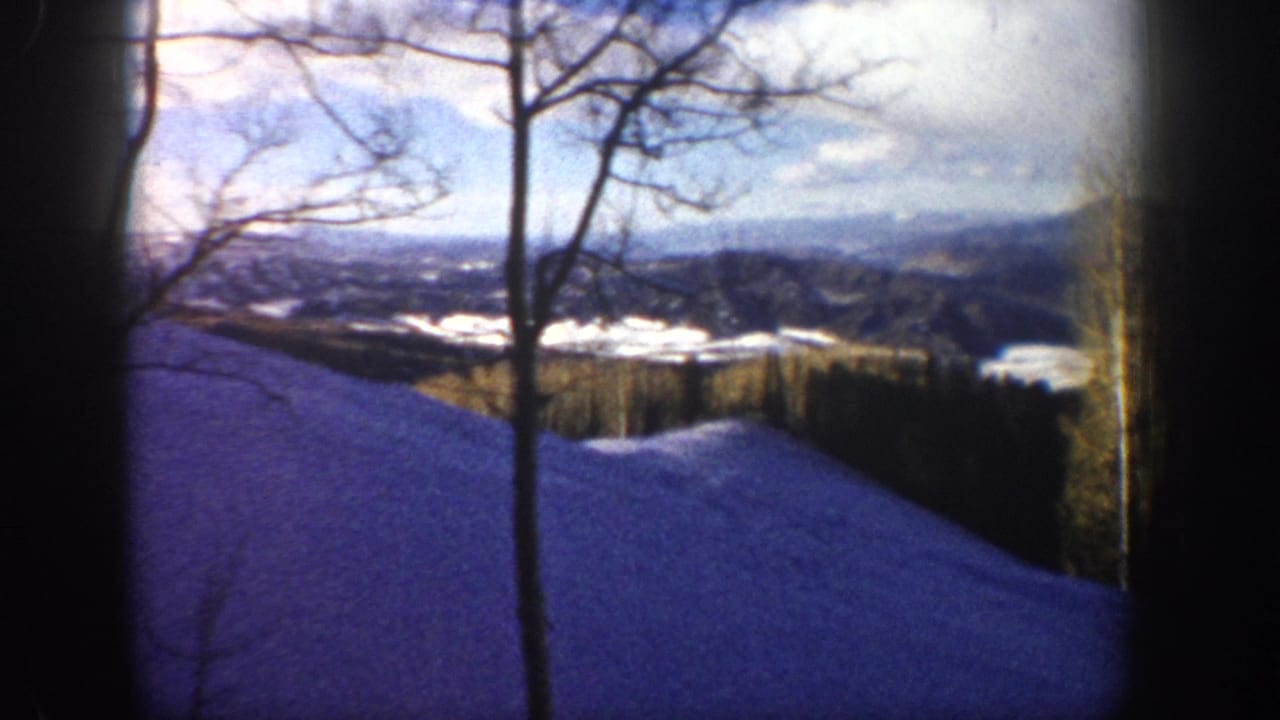 Snowy hillside and distant ridges seen through tall leafless trees.