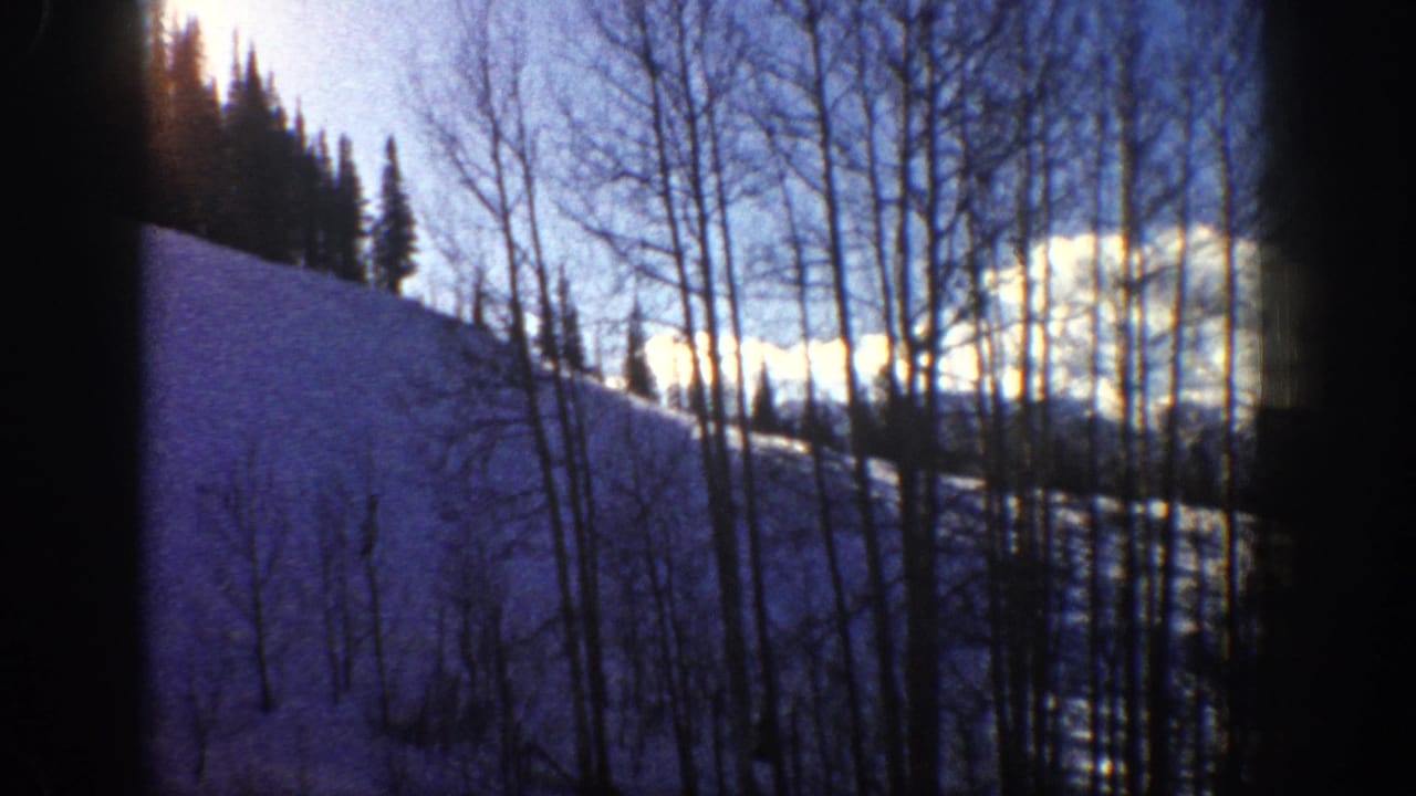 1961 Aspen, Colorado 8mm frame showing a snow-covered slope through leafless aspen trunks and dark evergreens.