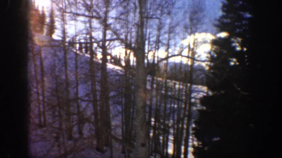 1961 Aspen, Colorado 8mm still with aspen trunks, dark conifers, and bright snow on a mountain hillside.