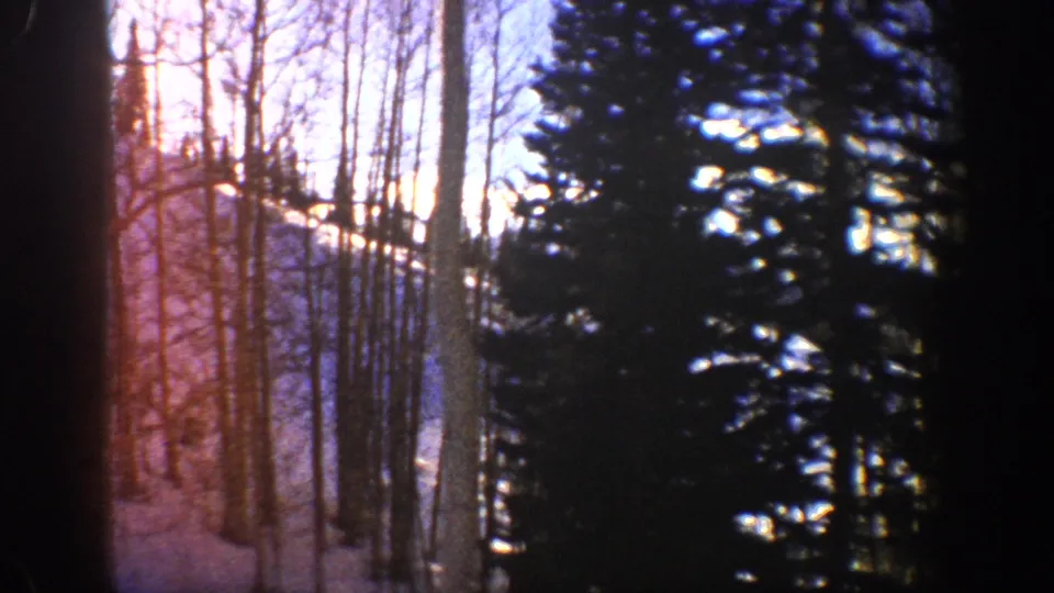 1961 Aspen, Colorado frame showing evergreens and leafless aspen trunks silhouetted near a snowy hillside.