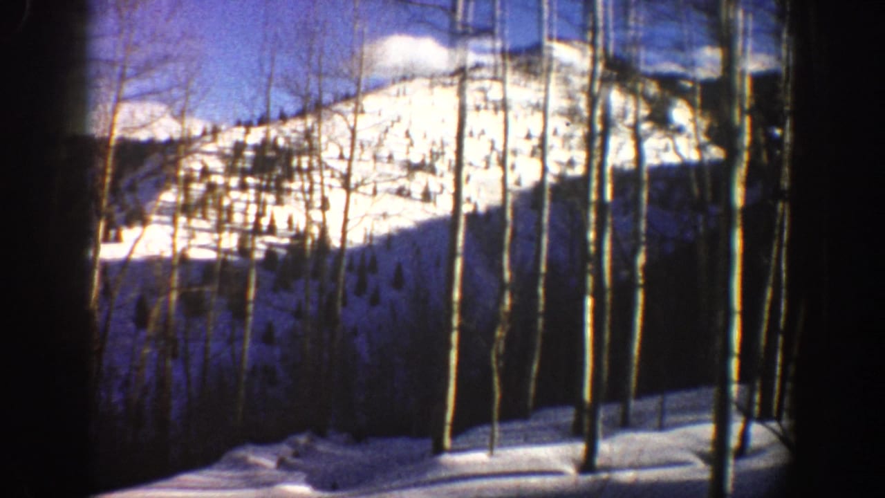 1961 Aspen, Colorado winter view of a snow-covered mountain slope framed by bare aspen trunks and dark forest shadow.