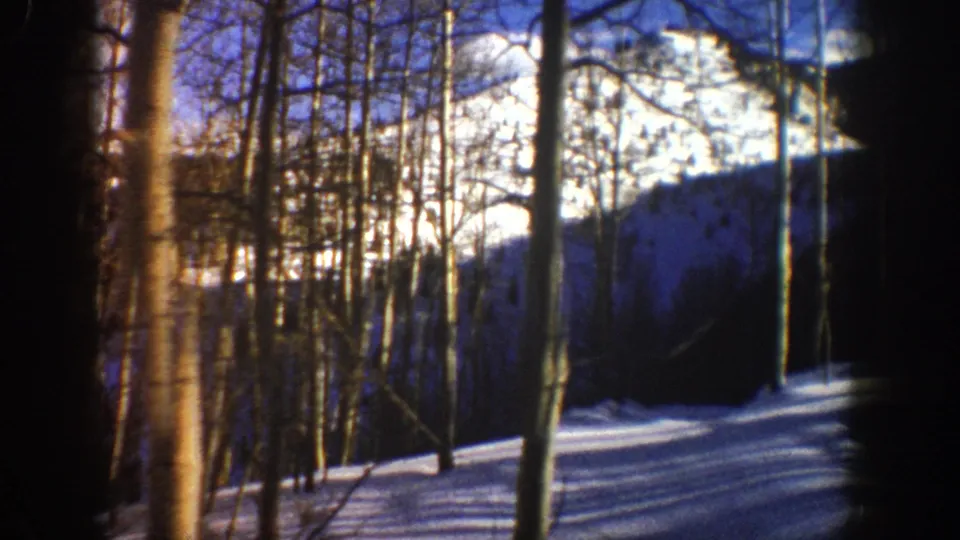 Handheld 8mm view through dense aspen trunks toward a snow-covered hillside and dark mountain valley in Aspen, Colorado.
