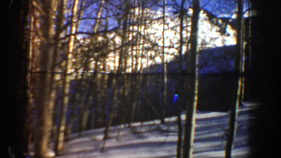 Winter aspen grove with bare trunks, snow on the ground, and a bright mountain slope beyond a darker valley.