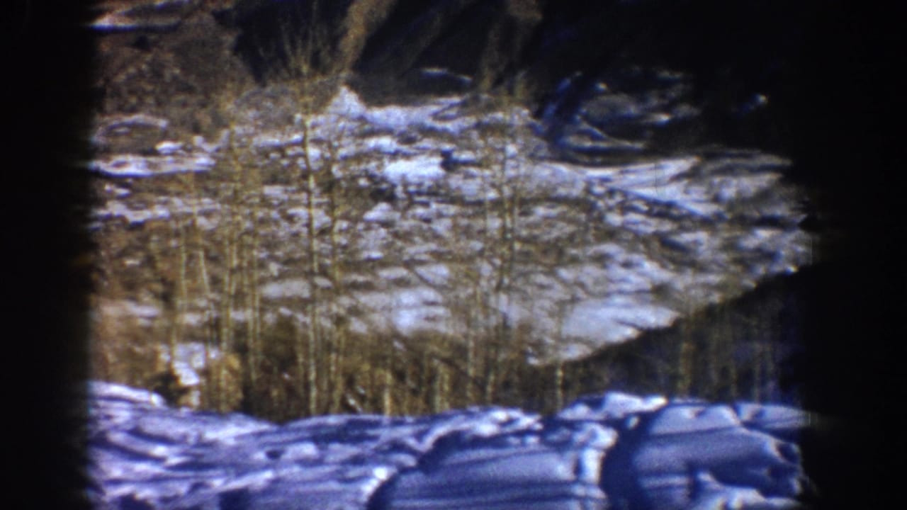 1961 Aspen winter landscape with snow-covered ground, leafless trees, and shadowed hillside framed by a dark 8mm border.