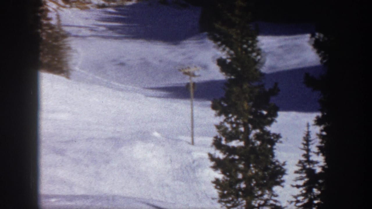 Open snowy slope with evergreen trees and a single pole marker.