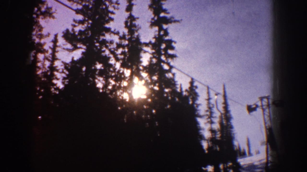 Bright sun behind pine trees with a ski lift cable and tower at the edge of the frame.