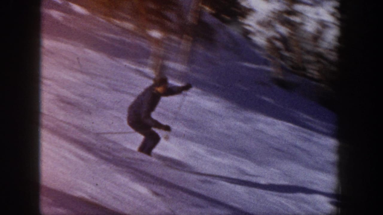 Skier turning on a sunlit snowy slope near evergreen trees.