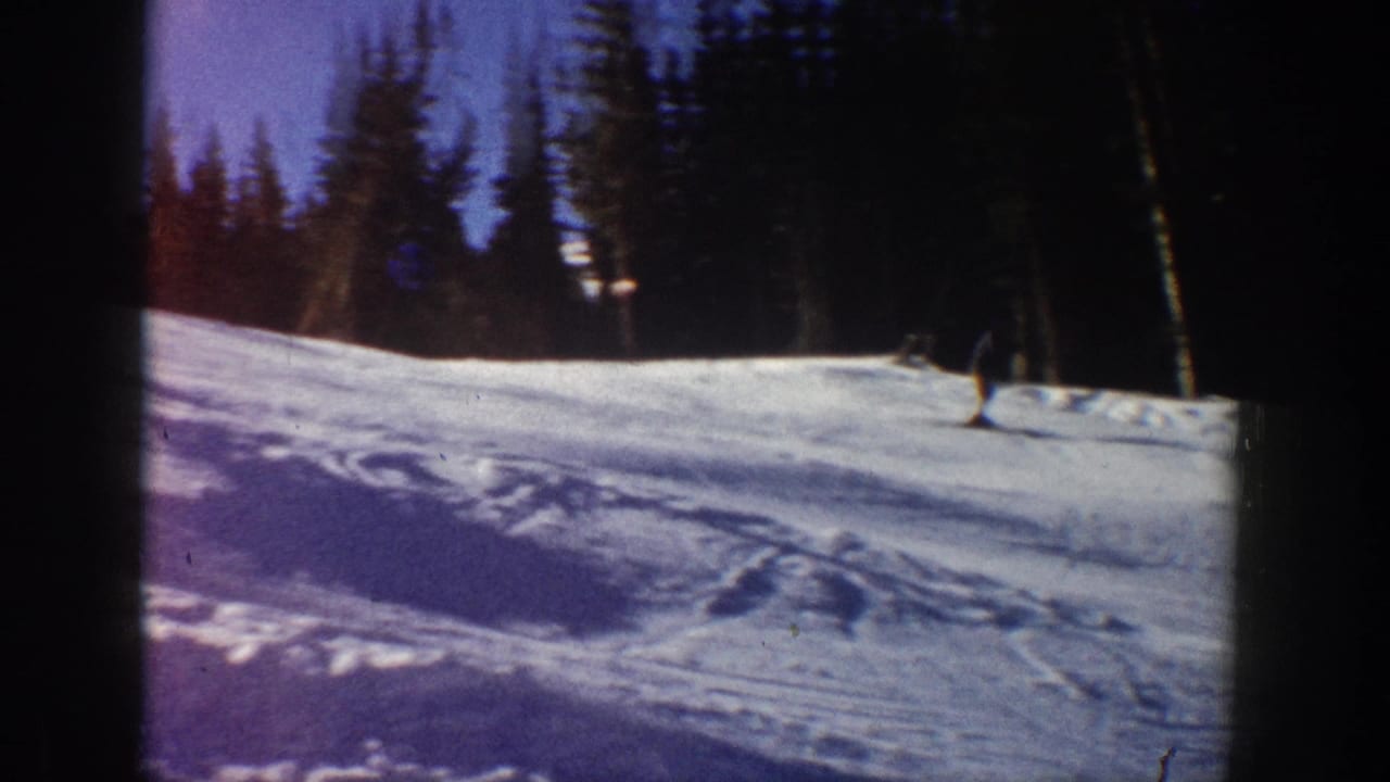 A skier moves across a snowy slope with evergreen trees in the background.