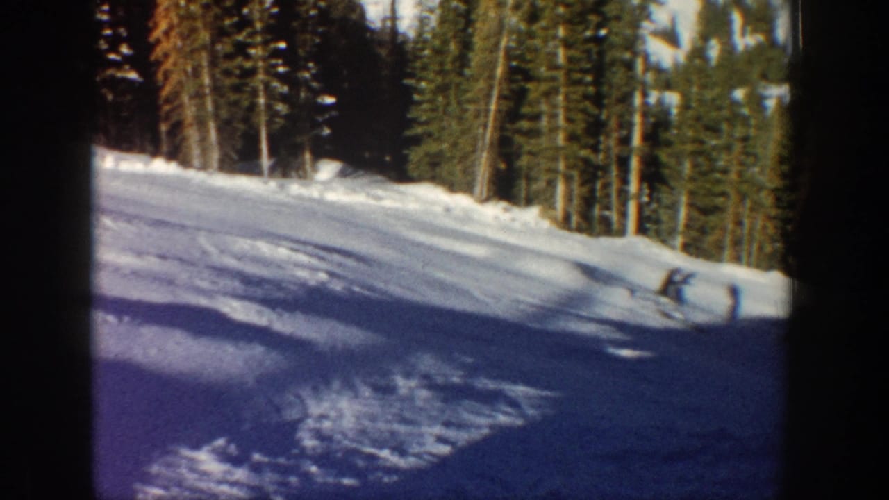Small skier on a bright snow slope beside tall evergreens.