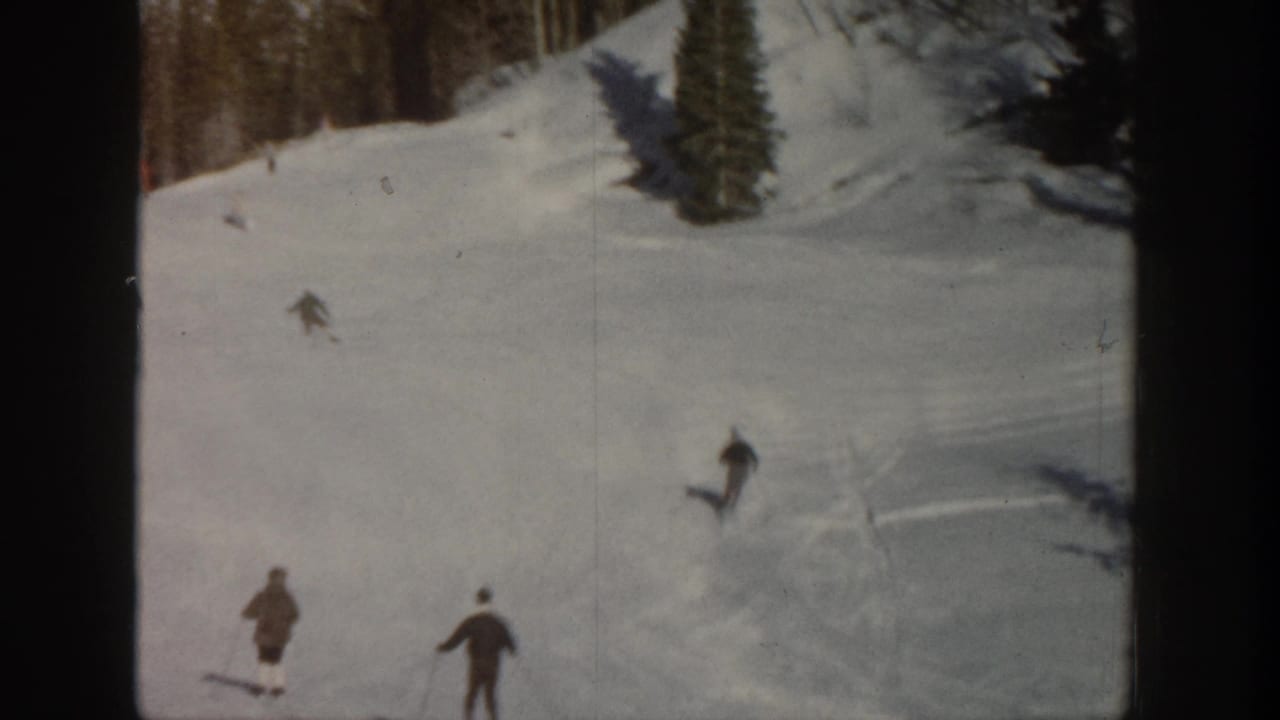 Several distant skiers are spread across a snowy slope bordered by trees.