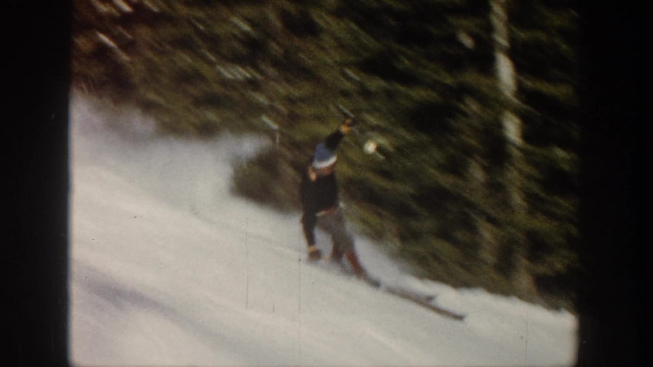 Skier in a blue hat travels along a snowy slope bordered by evergreen trees.