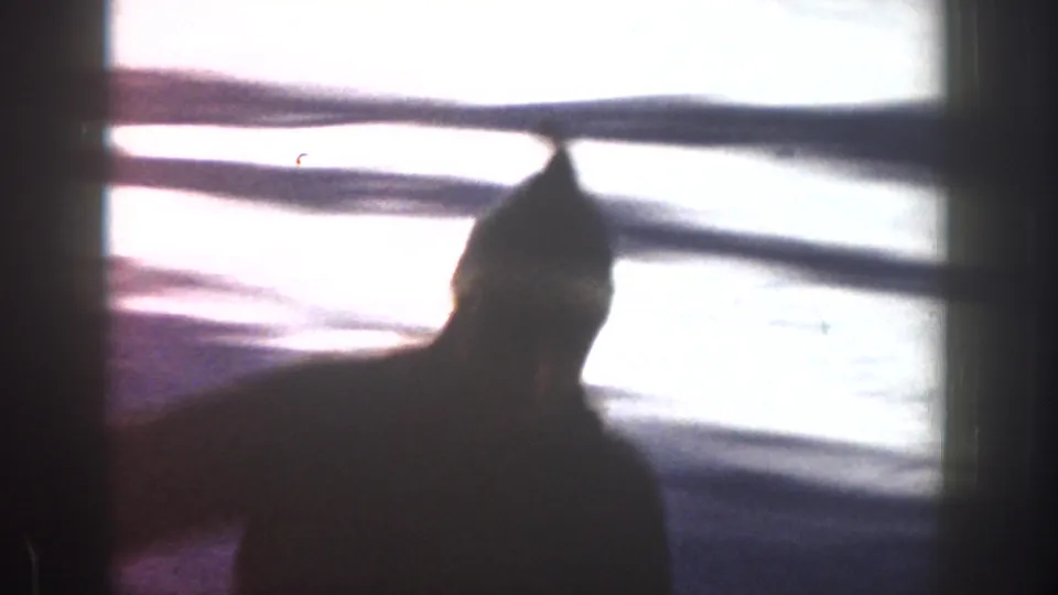 Soft close frame from 1961 Aspen showing the skier as a dark silhouette against overexposed snow and horizontal shadow bands.