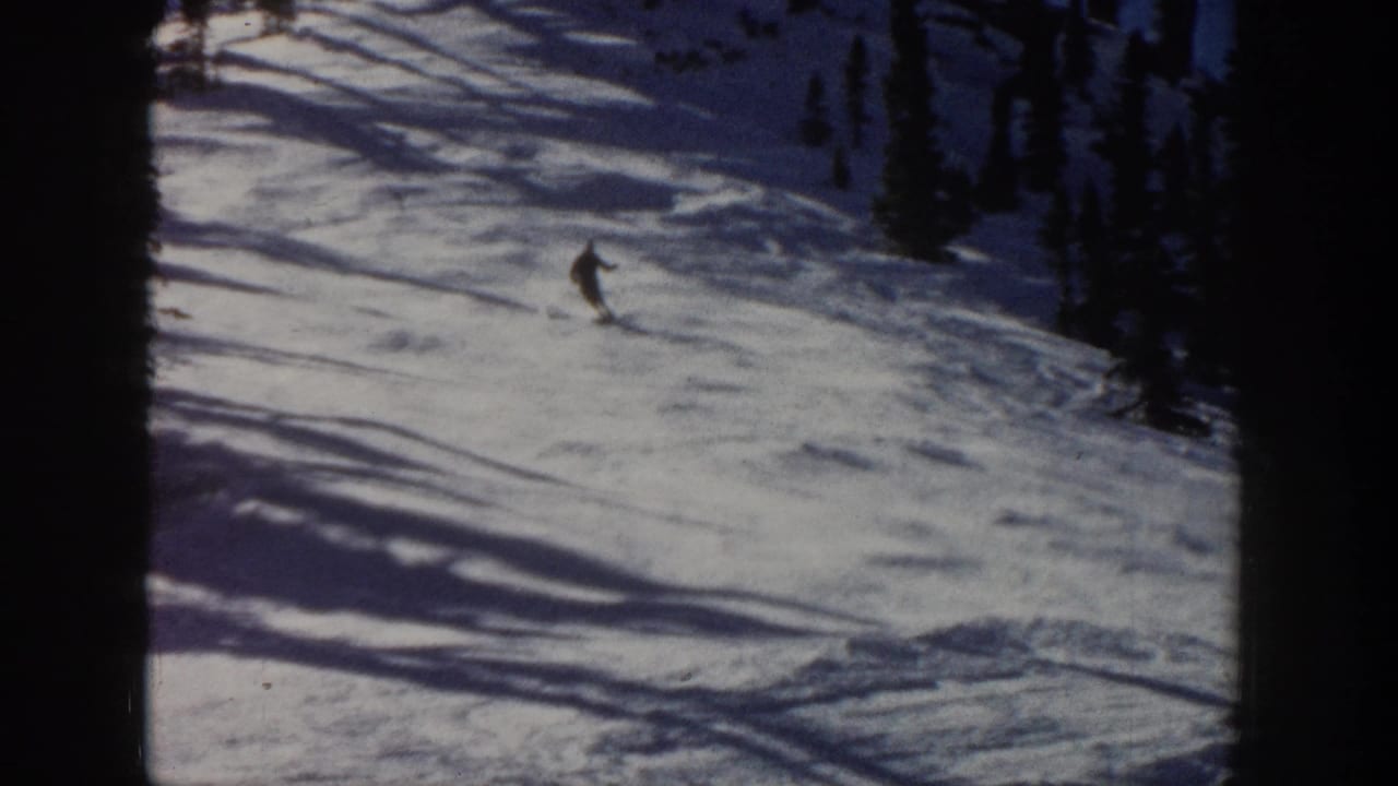 Skier turning across a sunlit snowfield near dark evergreen trees.