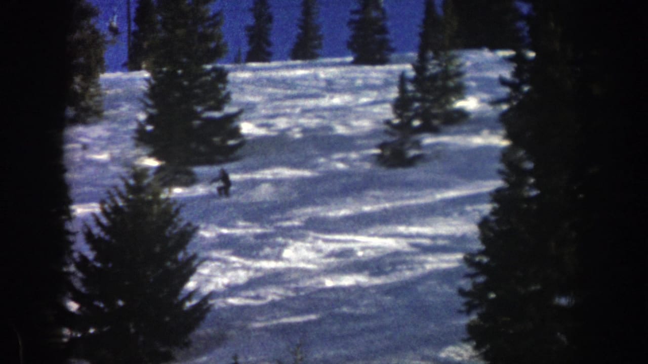 Small dark skier crossing a snowy hillside with evergreens in the background.