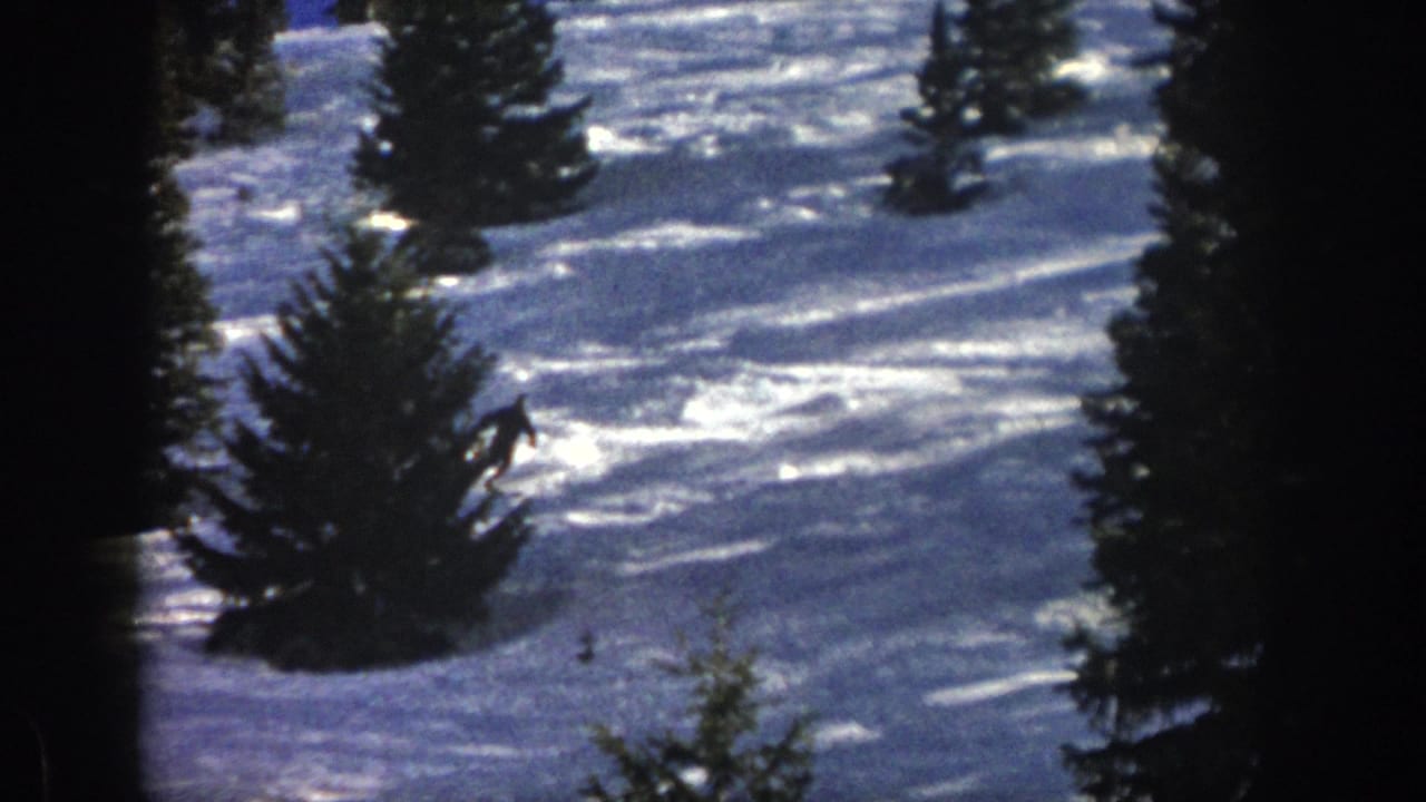 The distant skier continues downhill through a wooded Aspen slope, partly framed by dark tree silhouettes.